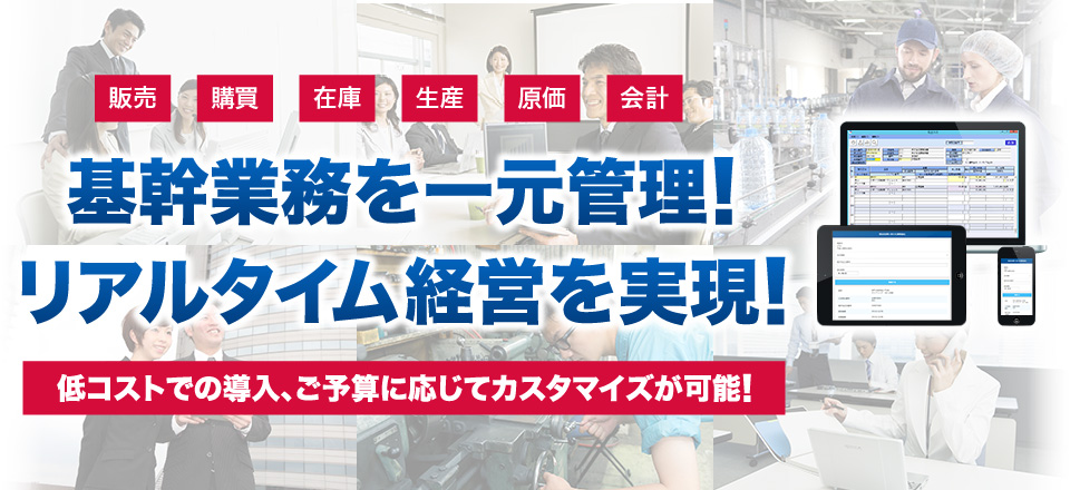 販売・購買・在庫・生産・原価・会計　基幹業務を一元管理!リアルタイム経営を実現!　低コストでの導入、ご予算に応じてカスタマイズが可能!